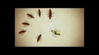 Hit Anti Roach Gel  Tamil TVC [upl. by Katey684]