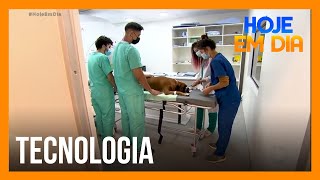 Avanços tecnológicos da medicina veterinária dão sobrevida aos pets [upl. by Kimbra383]