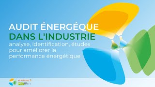 Audit énergétique dans lindustrie [upl. by Eiramanin]