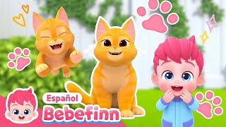 Gatito🐱 Bienvenido a Familia Bebefinn  EP73  La Canción del Gato  Bebefinn Canciones Infantiles [upl. by Eldin]