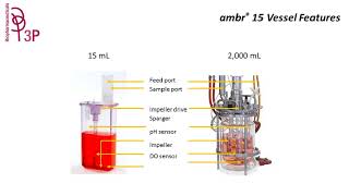 Webinar 3P Biopharmaceuticals and Sartorius quotambr15 for cell culture process optimizationquot [upl. by Enomys]