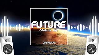 Future Original Mix  Crisalid3 [upl. by Tamberg]