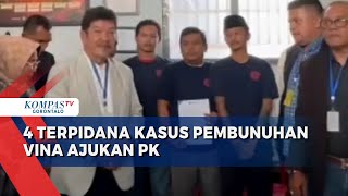 4 Terpidana Pembunuhan Vina Ajukan Peninjauan Kembali Kasus pada 2016 [upl. by Nothgierc]