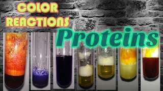 Color reactions of Proteins  Biochemistry series [upl. by Trace]