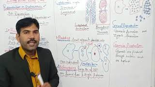 Reproduction in protozoansMiller Harlley Ch8 Lec2 [upl. by Rattray]