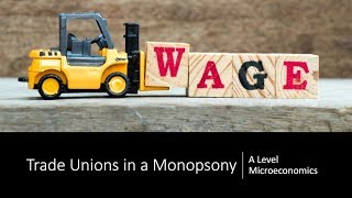 Trade Unions in a Monopsony Labour Market [upl. by Ateuqal476]