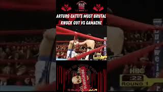 Arturo Gattis Most Devastating Knockout The Brutal Finish Against Joey Gamache [upl. by Brannon]