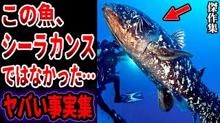 【総集編】シーラカンスは絶滅していた…眠れないほど面白い古代生物のヤバい事実と謎【ゆっくり解説】【生きた化石】 [upl. by Htennek467]