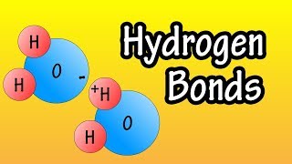 Hydrogen Bonds  What Are Hydrogen Bonds  How Do Hydrogen Bonds Form [upl. by Ettessil]