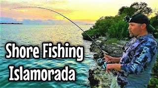 CRAZY FUN Shore Fishing the SPORT FISHING CAPITAL OF THE WORLD Islamorada Florida [upl. by Dagmar]