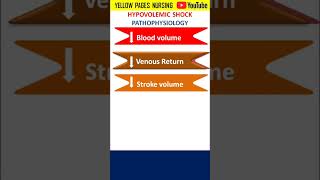 Hypovolemic Shock  Pathophysiology of hypovolemic Shock [upl. by Aennyl]