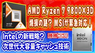 【海外噂と情報】ARyzen 7 9800X3D焼損の謎！MSIが緊急対応Intelの次世代大容量キャッシュ技術 [upl. by Kalman]