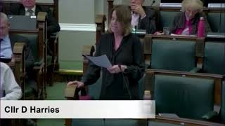 Cllr Deborah Harries The Budget and its impact on the Arts [upl. by Shane]