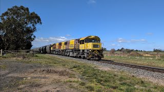 TasRail 2054 2051 46 Coal train crossing Bishopsbourne Road [upl. by Orvas]