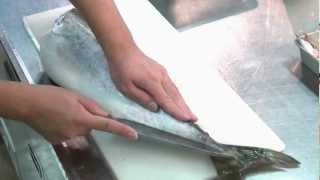 ハマチ（ブリ）のさばき方 姿造り編 How to cook hamachi yellowtail sashimi sugatatukuri Japanese food [upl. by Isidor]