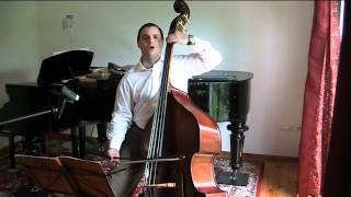 Beethoven Symphony 5  Mvts2amp3  Double Bass Tutorial  Master Class vol 3  Felix F J Maiwald [upl. by Pace]