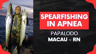 🎣 SPEARFISHING IN APNEA  MACAURN BRAZIL 🌊🐟 spearfishing fishing submarinefishing [upl. by Eul]