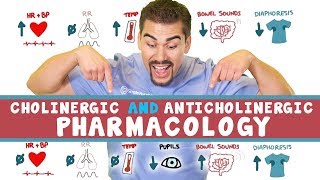 Cholinergic and Anticholinergic Pharmacology for Nursing Students [upl. by Ley]