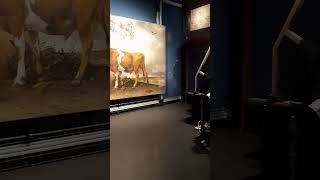 SHORTS Painting research in the Mauritshuis museum [upl. by Aihtniroc]