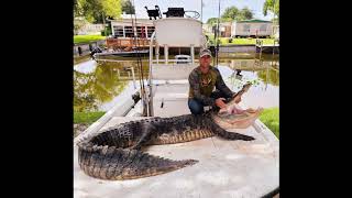 Okeechobee Gator Hunt 2020 with Mike and Sean Reark [upl. by Comstock470]