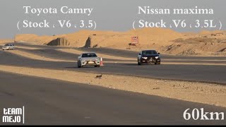 كامري ضد مكسيما  Toyota Camry Sport V6 VS Nissan Maxima [upl. by Zanlog]