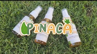 ISIF 2024Pinaca Production Process [upl. by Auqenet]