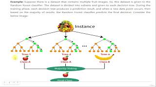 Lecture 31 Random Forest [upl. by Hopper426]