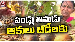 Tuniki Pandlu Tendu Fruit  Selling 5 Fruits For Rs 10  Forest Season Fruit  Adilabad  V6 News [upl. by Aneelas]