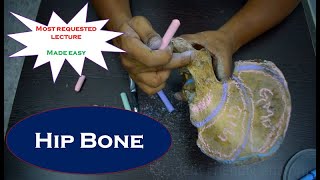 Anatomy of Hip bone  Simplified and made easy  Simplified amp made easy for beginners [upl. by Artaed]