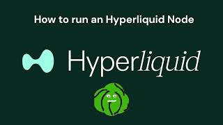 ⚙️How to run an Hyperliquid node  Step by step tutorial⚙️ [upl. by Quarta]