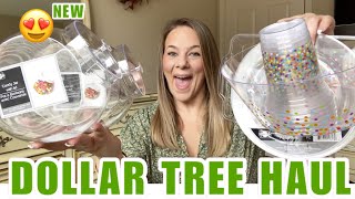 DOLLAR TREE HAULHUGENEW ITEMSBRAND NAME AMAZING FINDS [upl. by Enelrak303]