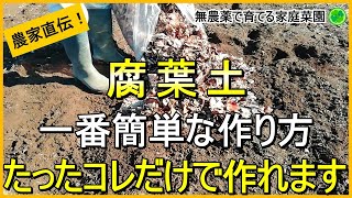 【腐葉土】穴なし枠なし袋なし！基礎～実際の作り方まで徹底解説【有機農家直伝！無農薬で育てる家庭菜園】 241128 [upl. by Aibsel86]