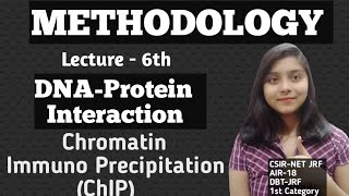 ChromatinImmuno precipitationChIP  DNAProtein Interaction Methodology [upl. by Nehtan]