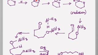 lactone reduction mechanism [upl. by Ilam108]