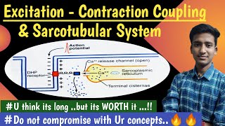 Sarcotubular System ExcitationContraction Coupling Nerve Muscle Physiology  hindi  Ashish [upl. by Imoin]