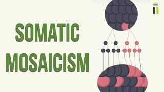 Mosaicisms  Part 2  Somatic Mosaicism [upl. by Ayahs]