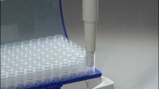 How to use the Forward Pipetting technique with Eppendorf Reference® mechanical pipettes [upl. by Aerdnael202]