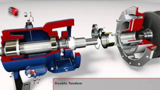 Salvatore Robuschi Mechanical Seal Arrangement [upl. by Nnaear]