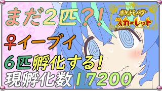 【 色違い厳選】現在17200匹孵化！♀イーブイ色違い６匹を厳選せよ！60日目【ポケモンsv 】 [upl. by Hayman]