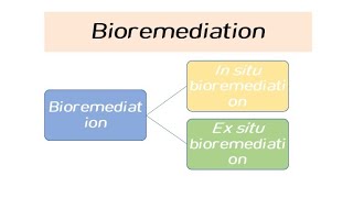 Bioremediation in Hindi [upl. by Denis]