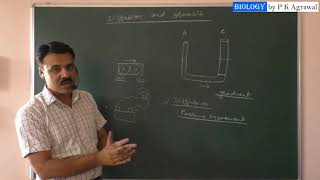 Plant water relation Diffusion and osmosis [upl. by Arahset436]