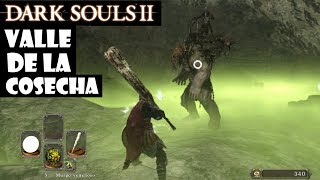 Dark Souls 2 guia VALLE DE LA COSECHA  Juramento Herederos del sol Pacto cooperativo  Ep31 [upl. by Elaval502]