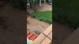 This isnt looking good at all Torreblanca flashflood news flood perte fyp spainnews spain [upl. by Amer]