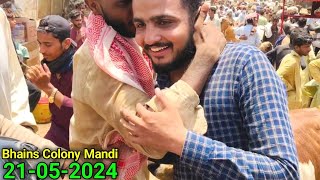 Bhains Colony Mandi Karachi Cattle Update 21052024  3 Gante Ki Mehnat Zaya 😡Cow Mandi 2024 [upl. by Chao]