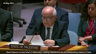 Riyad Mansour demands immediate international action to end humanitarian crisis in Gaza [upl. by Arvie]