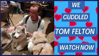 Tom Felton Gets Puppy Dog Cuddles From Us Harry Potter Dogs [upl. by Krauss]