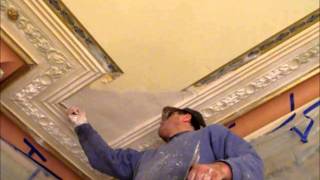 Plastering Cornice Repairs Lath amp Plaster  Hawthorn Plaster Repairs [upl. by Mandell]