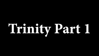 The Trinity vs Bryan Denlinger Part 1 Introduction and Foundations of Error [upl. by Sgninnej16]