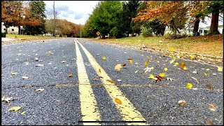 Autumn Leaves Blowing Along Road on Windy Fall Day  Sound Effects and Stock Video  Fall Collection [upl. by Nauh]