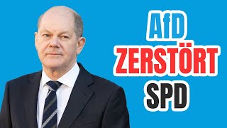 Neue Umfrage AfD auf dem ersten Platz [upl. by Dippold]